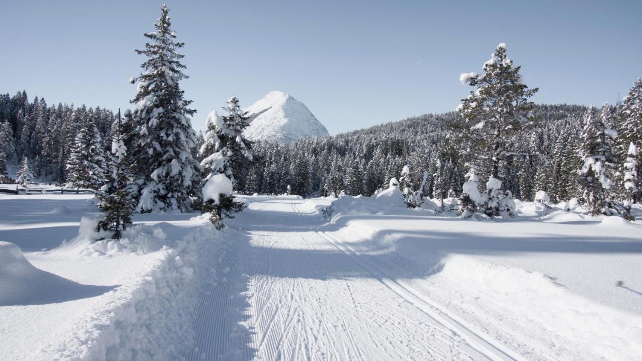Haus Excelsior Top 29 Seefeld in Tirol Exterior foto
